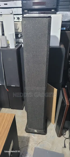 BNS Evolution Floorstanding Speakers