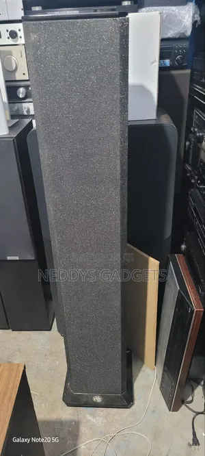 BNS Evolution Floorstanding Speakers