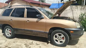 Hyundai Santa Fe 2.4 2001 Gold