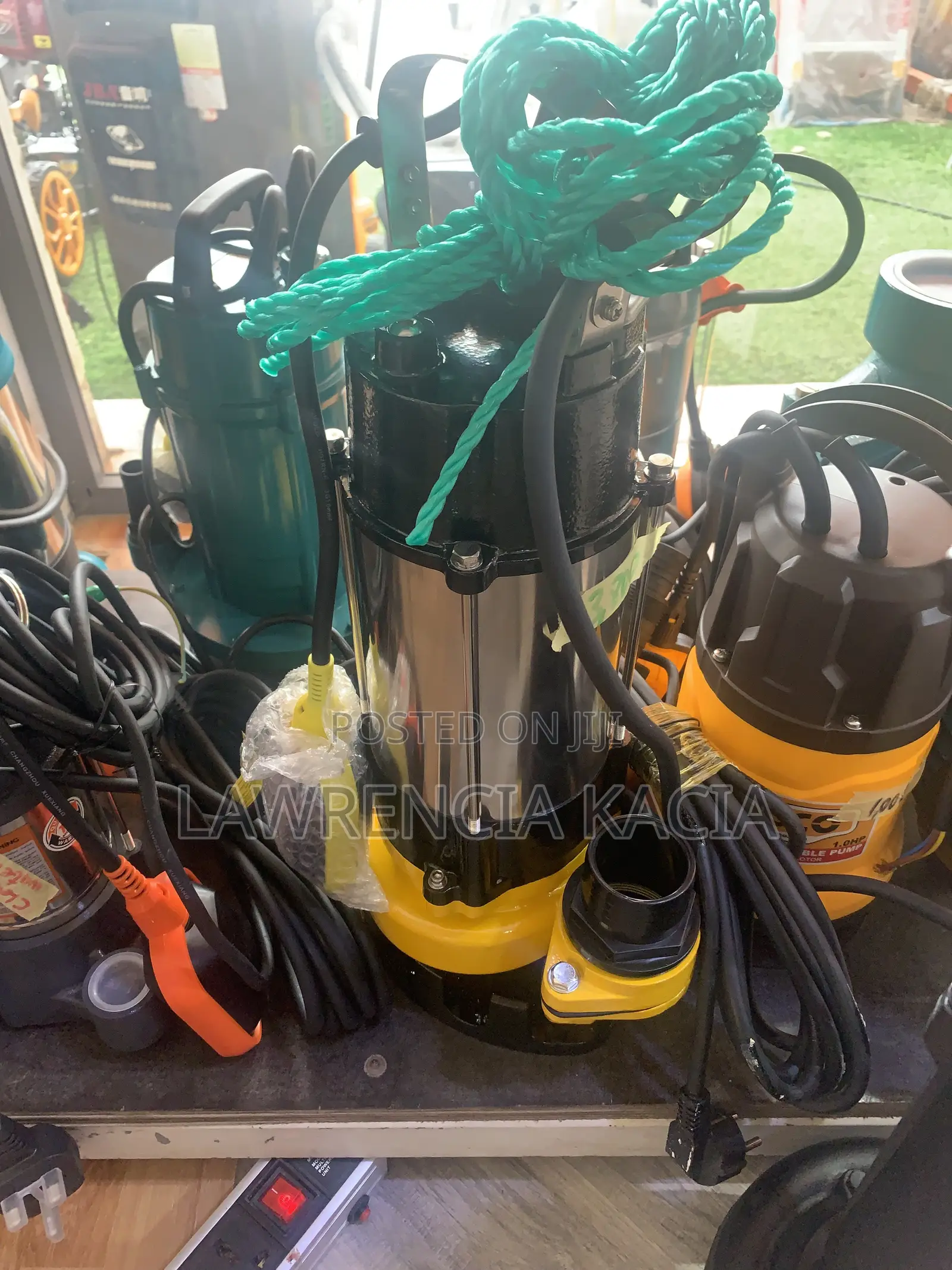 Sewage Pump