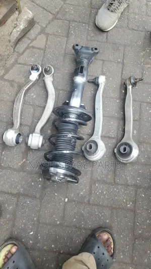 C250 Front Shock One Side and Low Arm Set