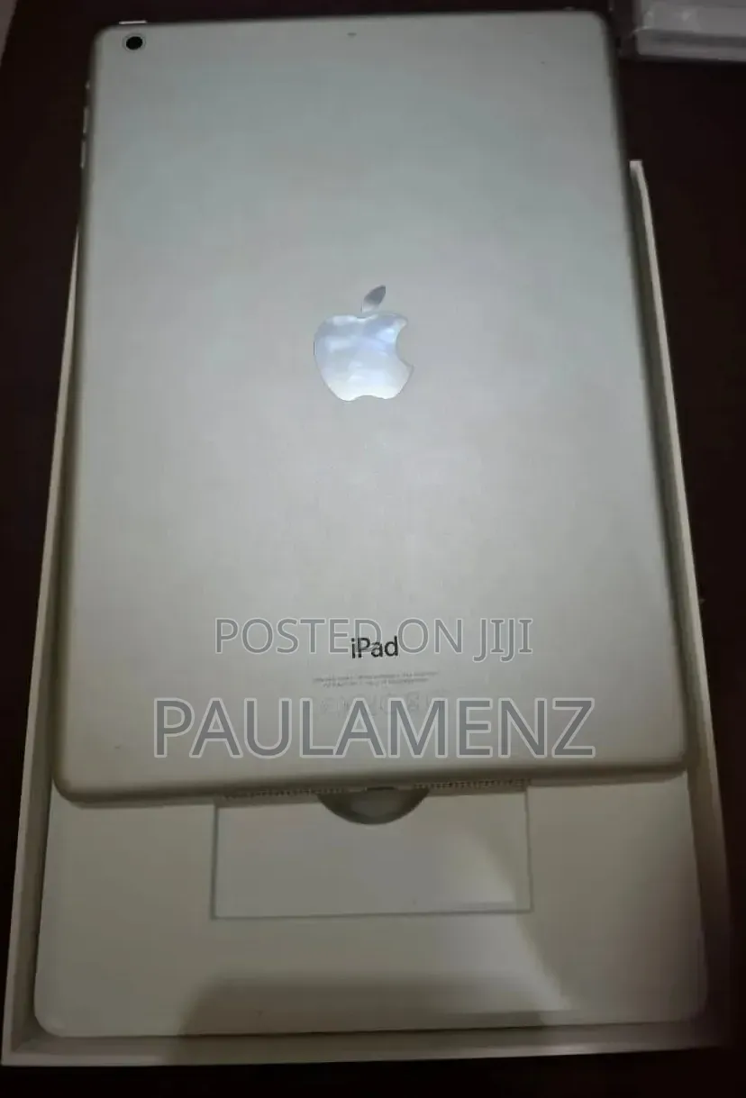 Apple iPad Air 16 GB Gray