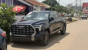 Toyota Tundra Platinum CrewMax 5.5' Bed 2023 Blue