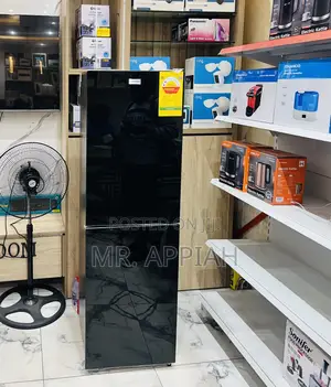 Unique Design Nasco Nasd2-24 2 Door Refrigerator(Mirror)196l