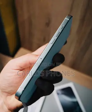 New Apple iPhone 16 Pro Max 1 TB Silver