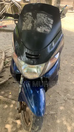 Suzuki Burgman 2012 Blue