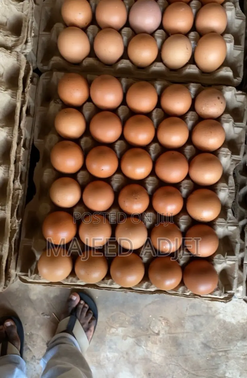 Fresh Farm Eggs