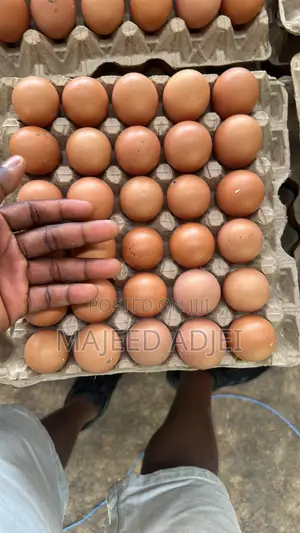 Fresh Farm Eggs