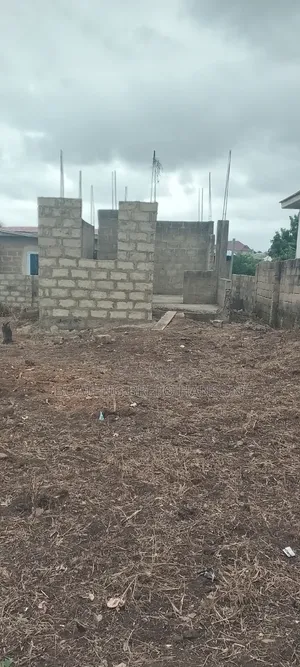 100 by 100 Plot at Millennium City