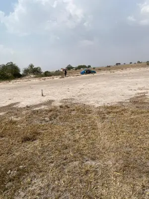 Affordable Tsopoli Half Plots
