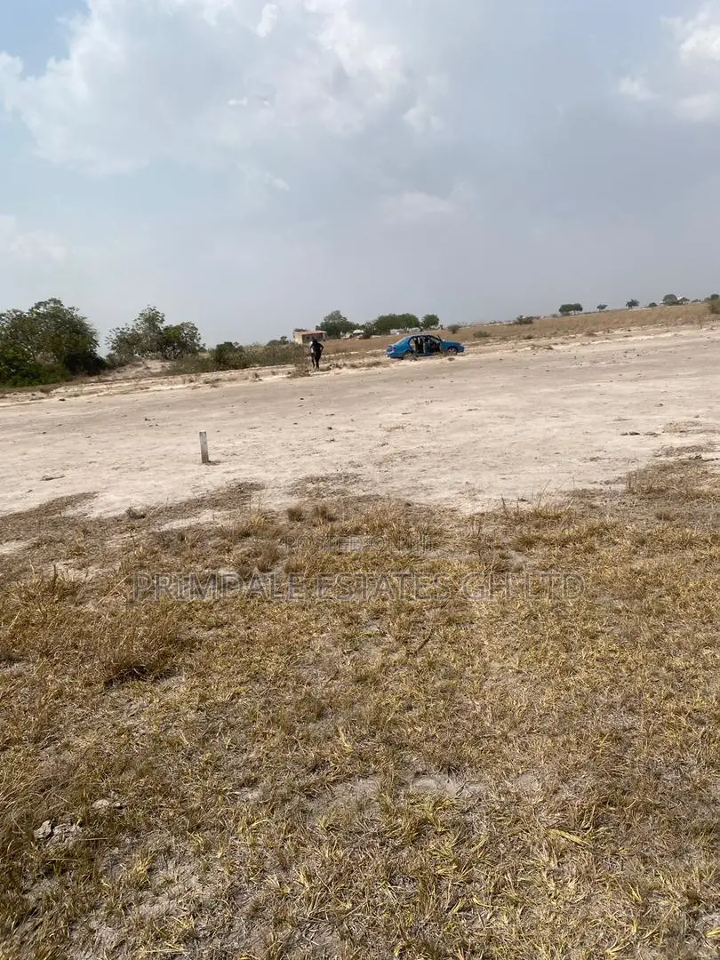 Affordable Tsopoli Half Plots