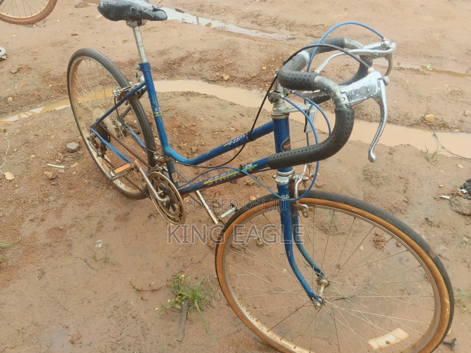 Mountain Bike