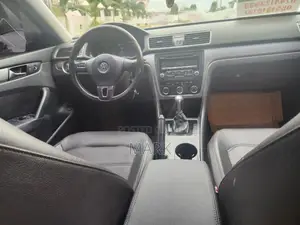 Volkswagen Passat 2014 Brown