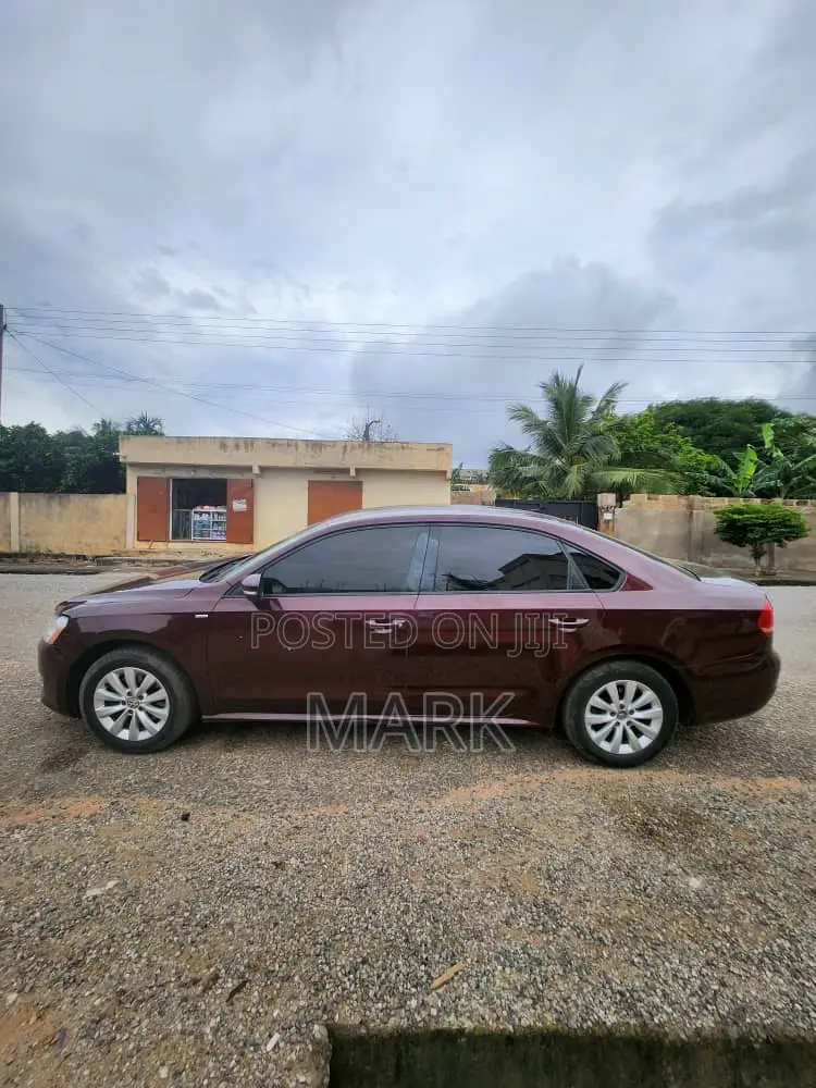 Volkswagen Passat 2014 Brown