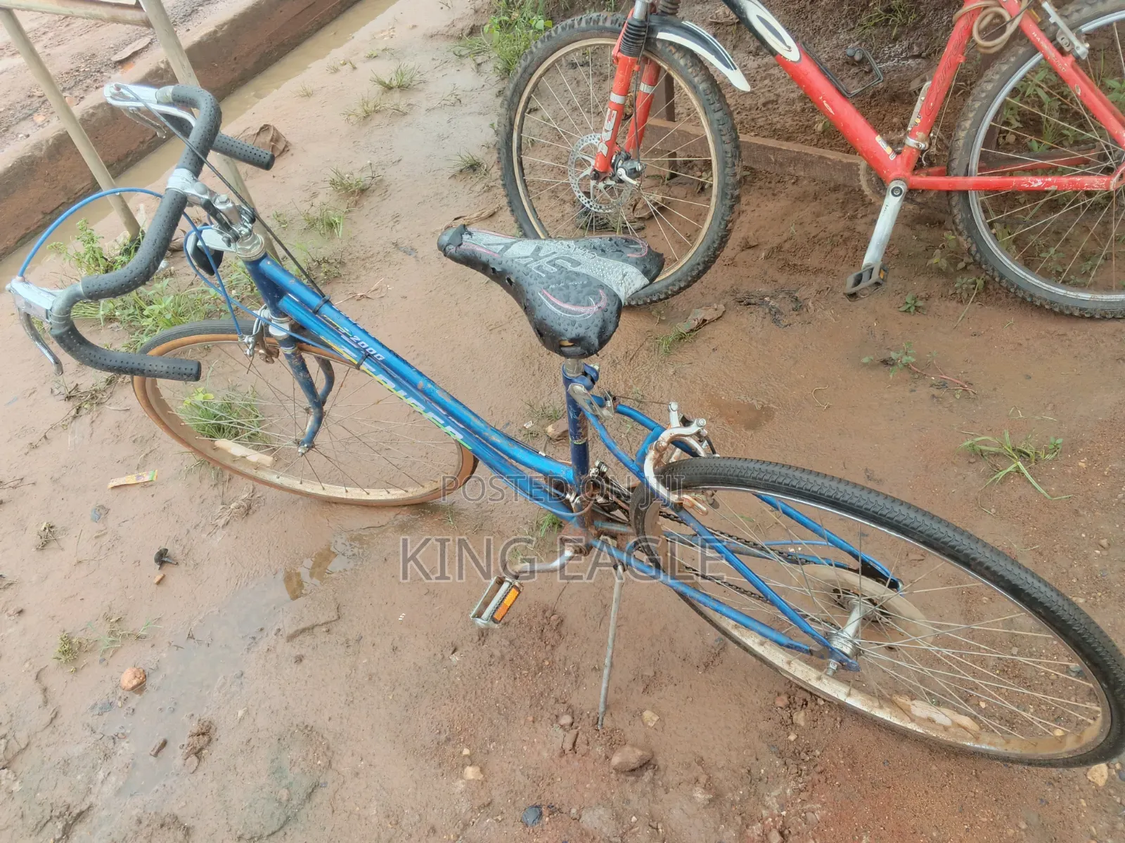 Mountain Bike