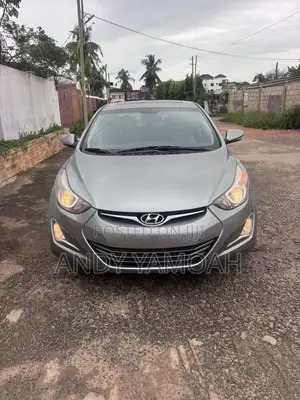 Hyundai Elantra 2014 Gray