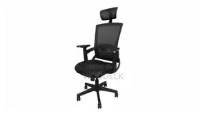 High-Back Ergonomic Mesh Office Chair With Adjustable Headrest