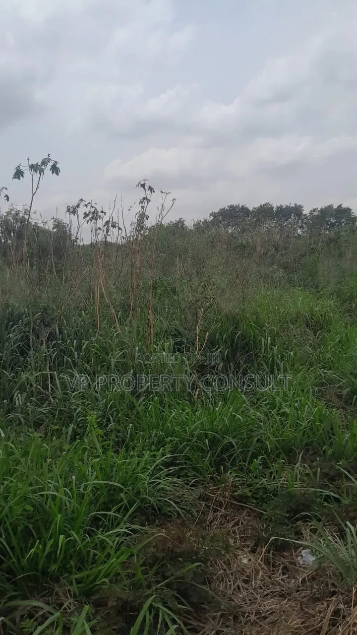 1 Plot for Sale For.Sale at Amrahia