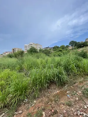 2 Plots of Land for Sale at West Hills, Eden Heights Area