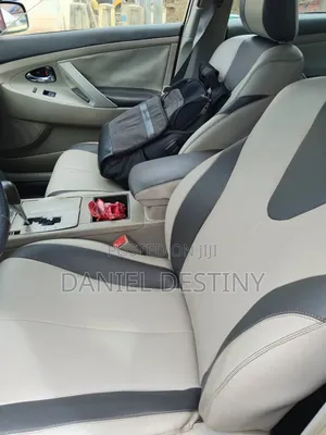 Toyota Camry 2009 Gray