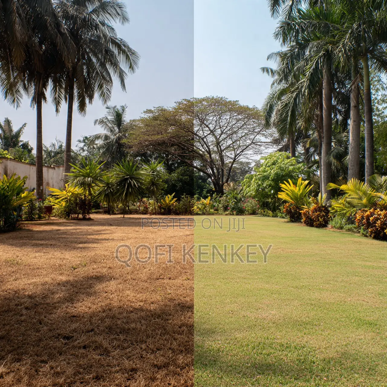 Top Gardening Services