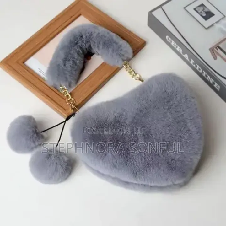Ladie's Handbag