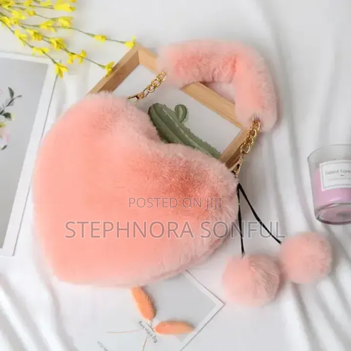 Ladie's Handbag
