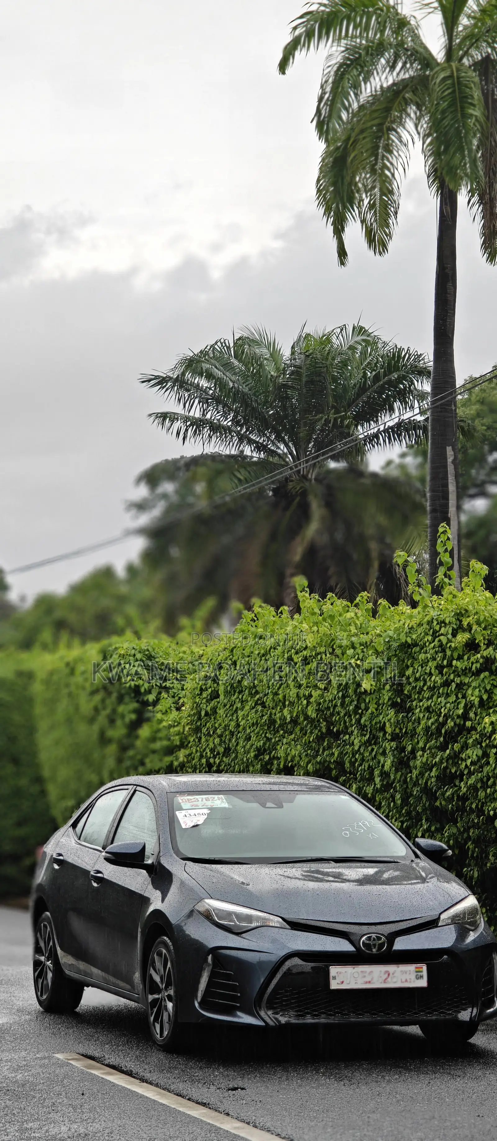 Toyota Corolla XSE (1.8L 4cyl 2A) 2018 Gray
