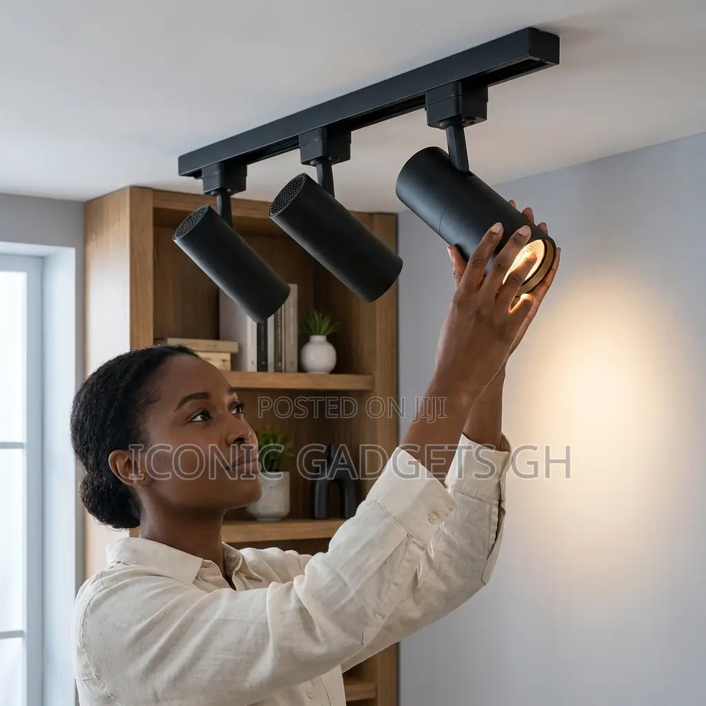 Modern Interior Ceiling Lamp