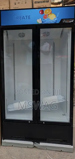 Standing Fridge