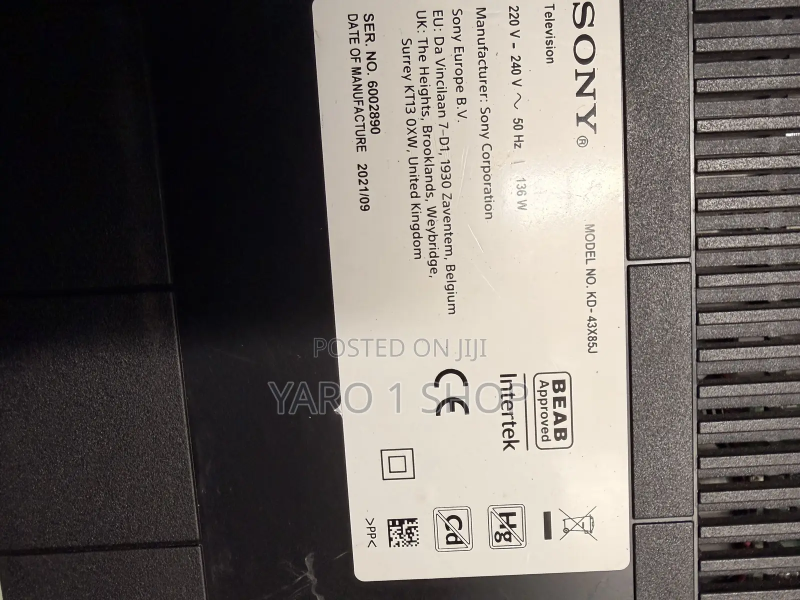 Sony Goggle Smart Satellite 43 