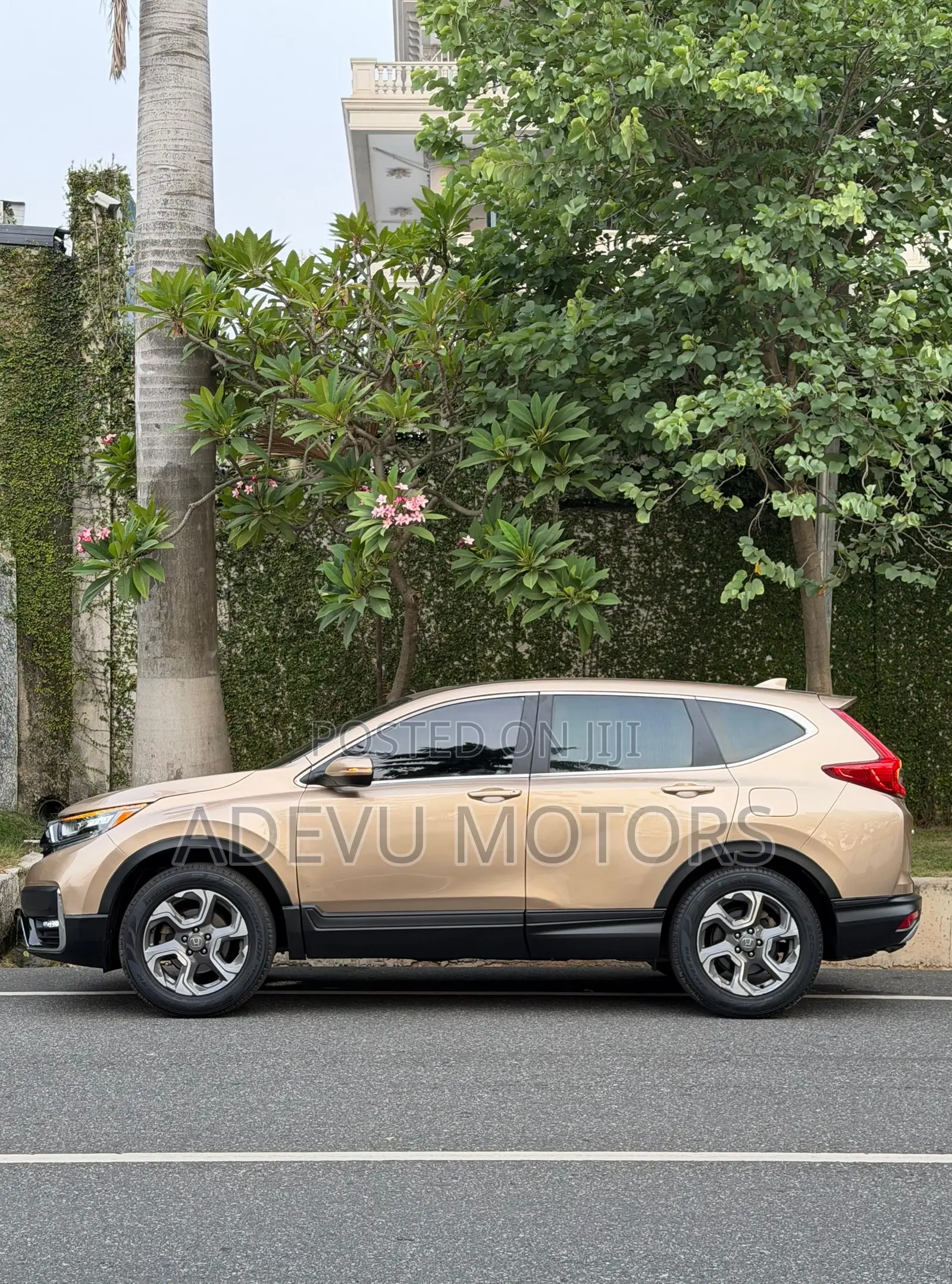 Honda CR-V EX-L 4dr SUV (1.5L 4cyl CVT) 2017 Gold