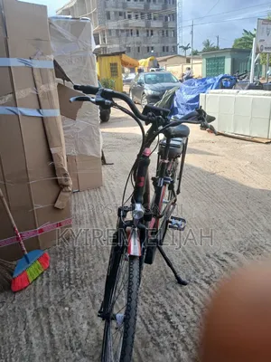 Electric Bicycle