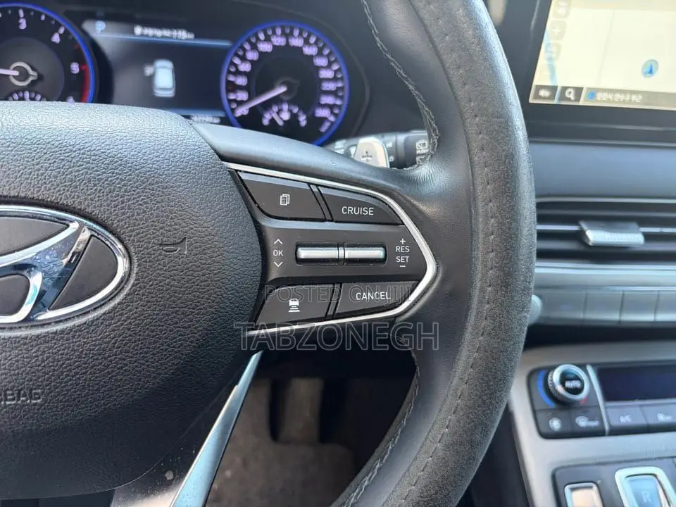Hyundai Palisade Limited 2022 White