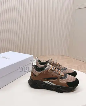 Original Dior B22 Brown
