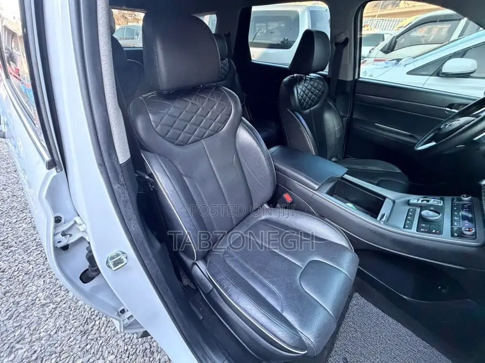 Hyundai Palisade Limited 2022 White