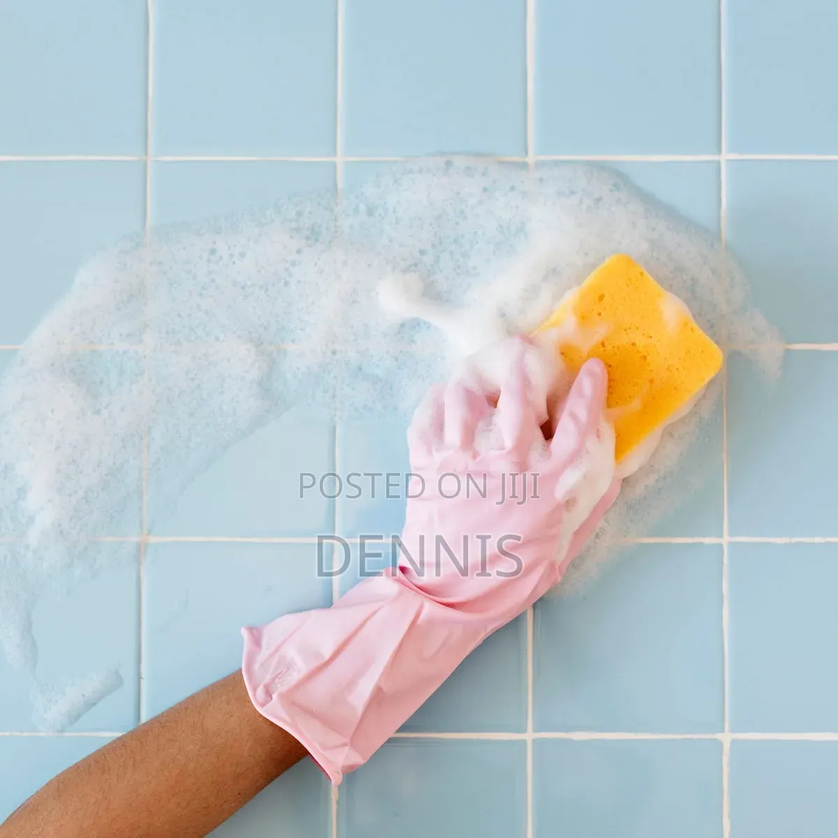 Home Cleaning Personnel