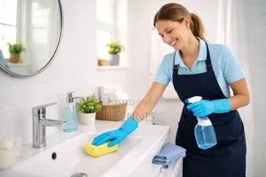 Home Cleaning Personnel