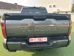 Toyota Tundra 2024 Gray