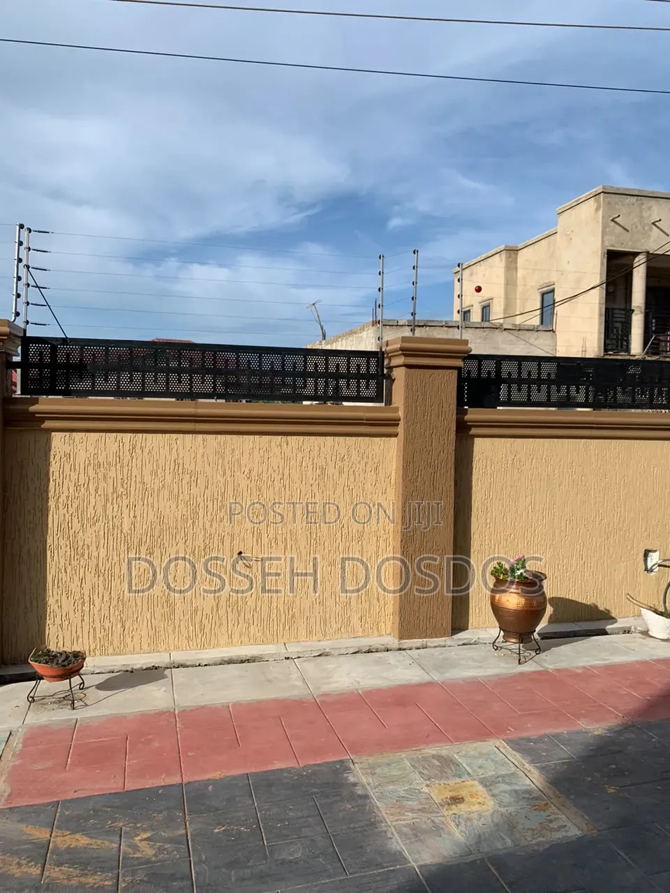 Profectional Painter