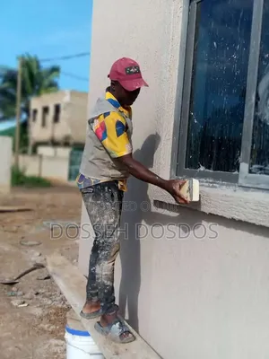 Profectional Painter