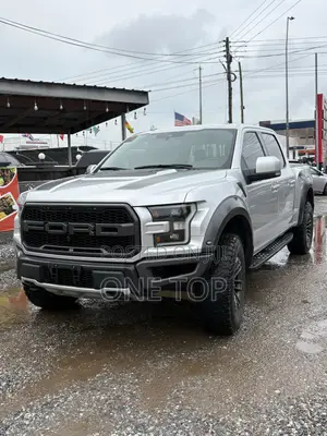 Ford F-150 Raptor 4x4 SuperCrew Cab Styleside 5.5 ft. box 145 in. WB Silver