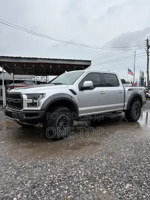 Ford F-150 Raptor 4x4 SuperCrew Cab Styleside 5.5 ft. box 145 in. WB Silver