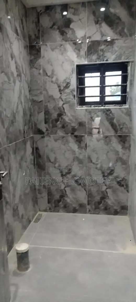 2bdrm Apartment in Ledzokuku-Krowor for rent