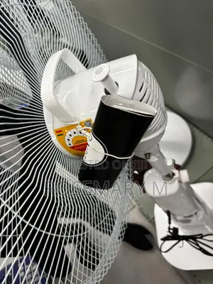 Rechargeable Fan