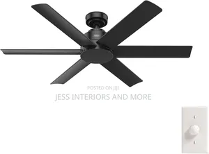 Hunter 52 Inch Outdoor or Indoor Ceiling Fan