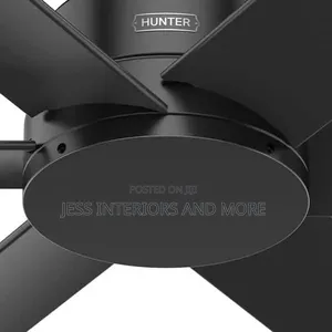 Hunter 52 Inch Outdoor or Indoor Ceiling Fan