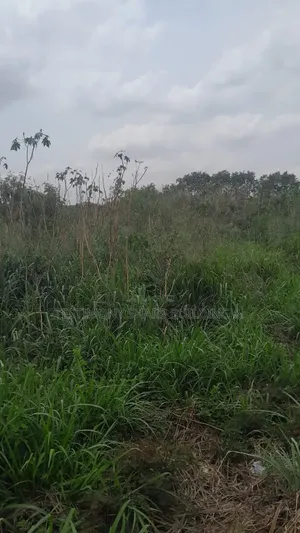 70/100 Plot for Sale at Amrahia