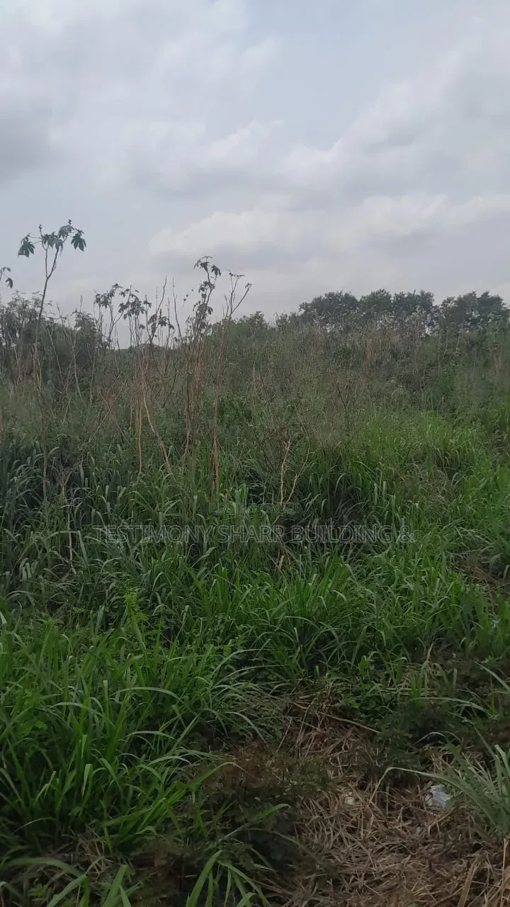 70/100 Plot for Sale at Amrahia
