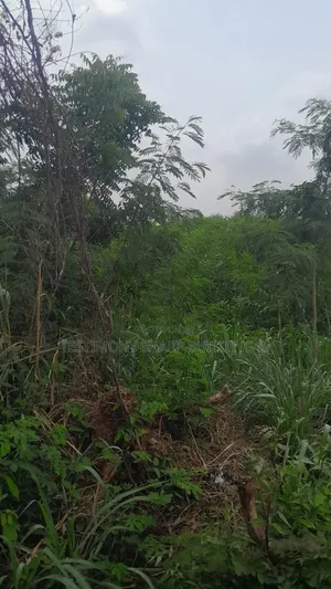 70/100 Plot for Sale at Amrahia